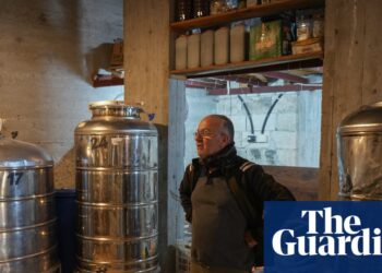 From tourism to wine, Syrian companies flounder in post-Assad cultural flux | Syria From tourism to wine, Syrian companies flounder in post-Assad cultural flux | Syria