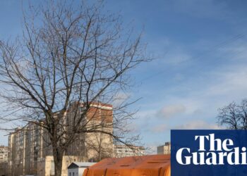 Ukraine struggle briefing: Kyiv struggles to stabilise ruined energy grid after main Russian assault | Russia