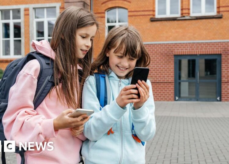 French MPs take first step in the direction of banning social media for under-15s