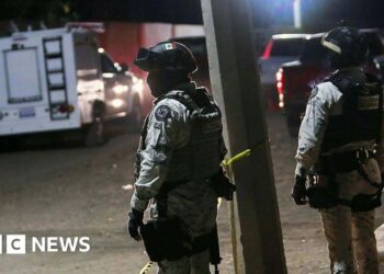 Gunmen storm soccer pitch in Mexico and kill at the least 11 folks