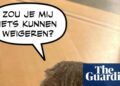 Belgian PM’s cat Maximus is social media star with ‘subliminal political message’ | Social media Belgian PM’s cat Maximus is social media star with ‘subliminal political message’ | Social media