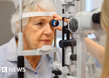 How the brand new street security measures will have an effect on you