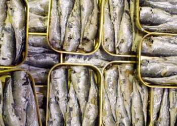 From “looksmaxxing” to “snack plates,” sardines are the web’s holy grail