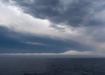 Excessive Seas Treaty takes impact, giving the open ocean actual safety