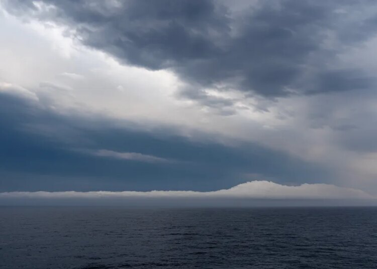 Excessive Seas Treaty takes impact, giving the open ocean actual safety