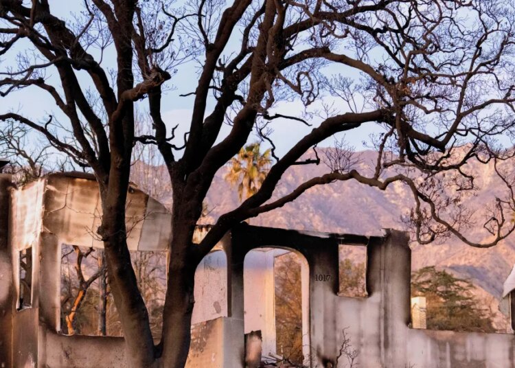 Extra houses than ever face hearth risks. New AI instruments are revealing ignored homes that face higher threat.