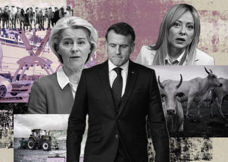 The winners and losers – POLITICO The winners and losers – POLITICO