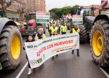 E.U., spurred by Trump, to signal free-trade cope with South America