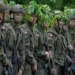 Poland constructed the E.U.’s greatest military, however the risk has modified