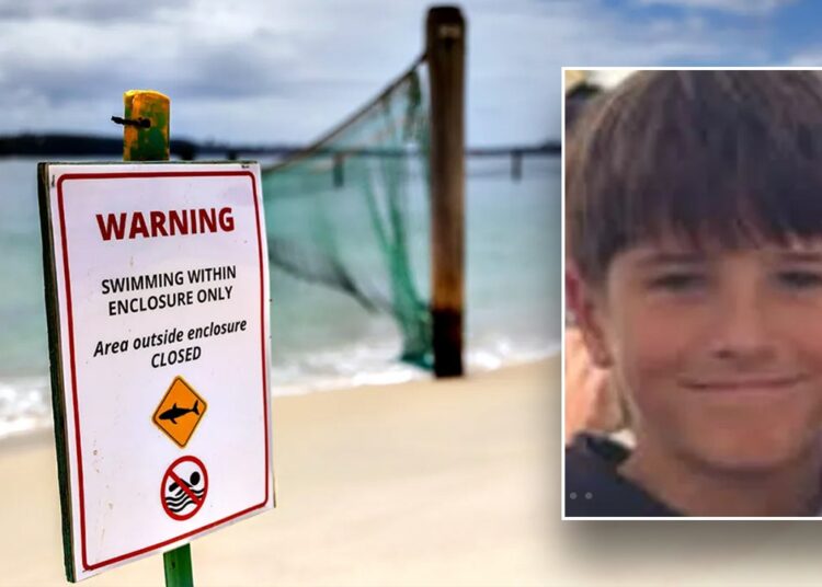 12-year-old boy dies after shark assault in Sydney Harbour waters