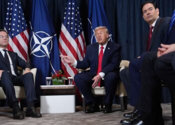 Mark Rutte: Highlight on NATO chief after Trump’s Davos about-face