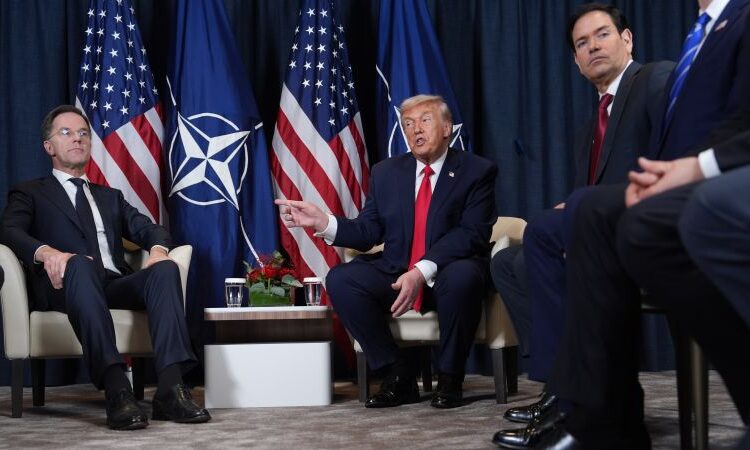 Mark Rutte: Highlight on NATO chief after Trump’s Davos about-face Mark Rutte: Highlight on NATO chief after Trump’s Davos about-face