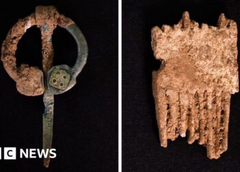 Intriguing finds might remedy thriller of ladies in medieval cemetery