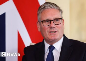 Politicians have given away an excessive amount of energy to ship pledges, says PM’s ex-aide