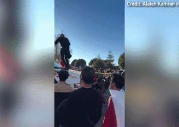 Protesters swarm U-Haul that drove by way of Iran demonstration in LA: video