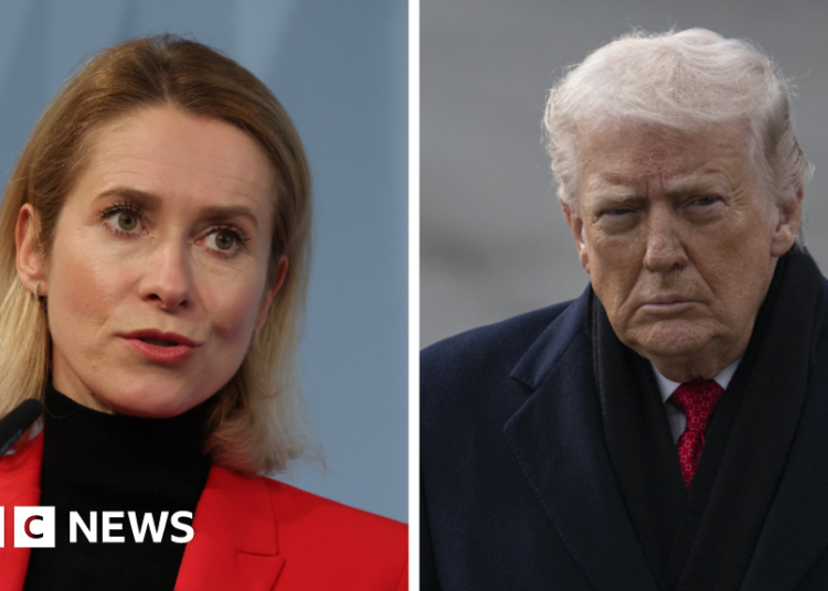 Trump says he’ll ‘100%’ perform Greenland tariffs risk, as EU vows to guard its pursuits