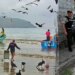 5 human heads discovered hanging on Ecuador seaside amid ongoing gang violence