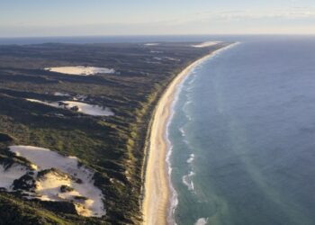 A teen’s demise on an untamed island has put the highlight on its inhabitants