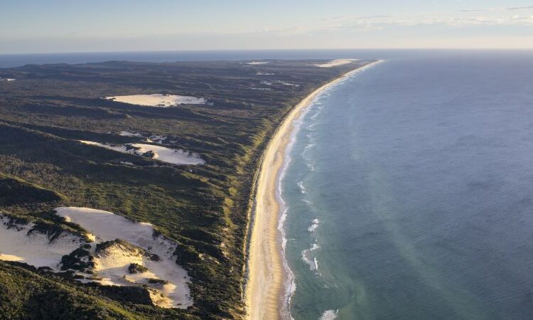 A teen’s demise on an untamed island has put the highlight on its inhabitants