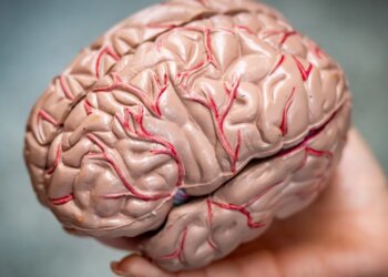 Are we getting stupider? A neurologist explains.