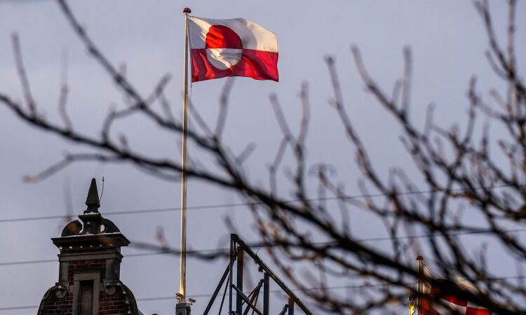 Prime diplomats from Greenland and Denmark met with White Home officers as Trump pushes for possession