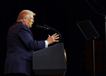 Renee Nicole Good capturing: Trump’s dishonest protection of Minnesota ICE shooter