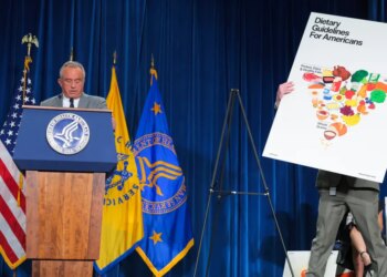 RFK Jr.’s new meals pyramid places meat and dairy on high — and it doesn’t add up