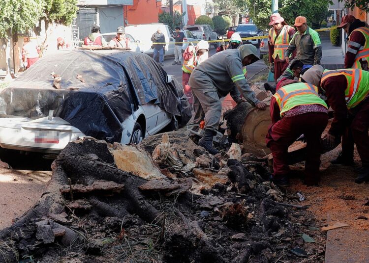 Earthquake with a preliminary magnitude of 6.5 rattles southern and central Mexico