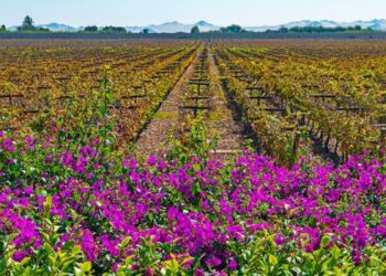 Beat the winter blues with these restorative escapes