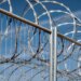San Diego sues federal authorities over razor wire fencing on metropolis land San Diego sues federal authorities over razor wire fencing on metropolis land
