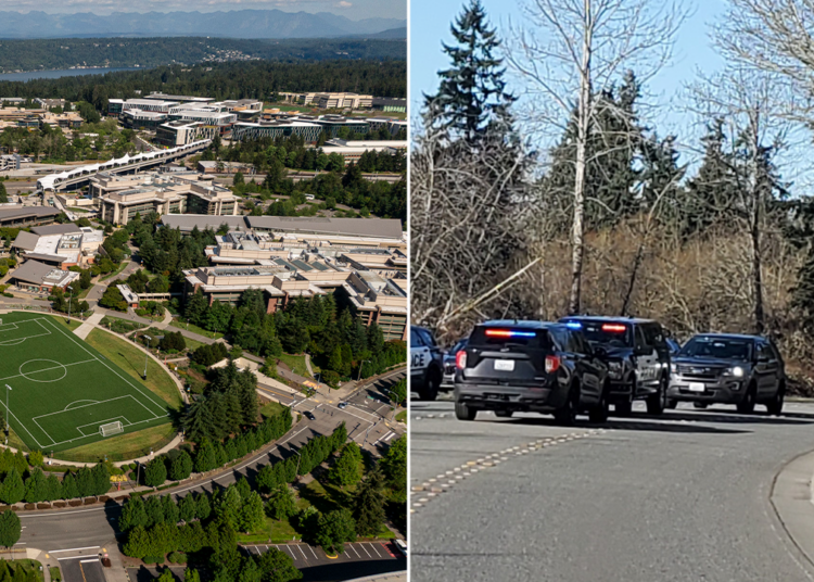 Lady stabbed in random assault on Seattle space path, suspect at giant