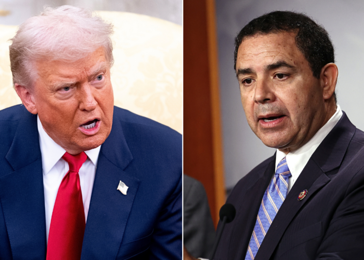 Trump endorses Republican challenger towards pardoned Rep Henry Cuellar