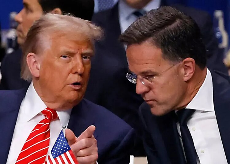 NATO chief says Arctic safety, not US management of Greenland, was focus of Trump talks