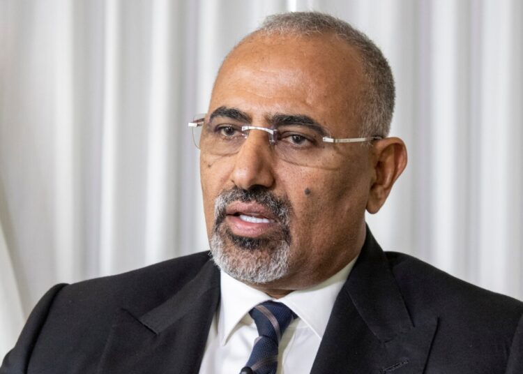 Yemen anti-Houthi council expels separatist chief