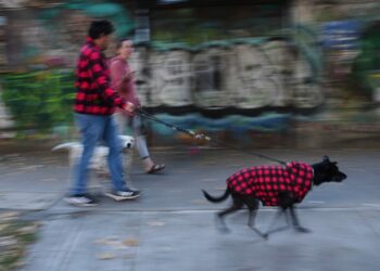 Mexico struck by 6.5 magnitude earthquake Mexico struck by 6.5 magnitude earthquake