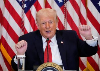 Trump says he might punish international locations with tariffs over Greenland