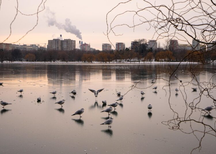Freezing rain and ice disrupt journey throughout central and japanese Europe Freezing rain and ice disrupt journey throughout central and japanese Europe