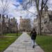 Yale gives free tuition for households incomes underneath 0,000 yearly