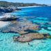 Rottnest Island: The darkish historical past behind an Australian paradise