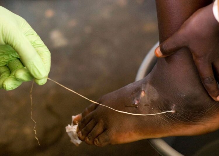 World Creeps Nearer to Eradicating a Loathed Parasite