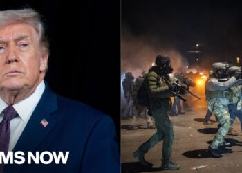 [MAGA] sees themselves because the ‘actual Individuals’: The that means behind Trump's immigration ways