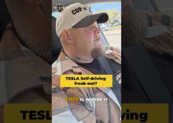 Tesla Self-Driving Automobile Worry: Management Freak's Scary Check Drive