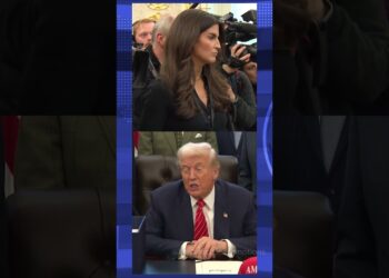 CNN reporter requested President Trump in regards to the Epstein recordsdata  #information #donaldtrump #pressbriefing #press