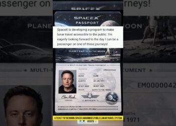 A Ticket to the Moon: SpaceX Publicizes Public Lunar Journey System.