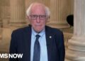 Bernie: Trump is ‘loopy’ or a ‘liar’ if he thinks it is a nice economic system