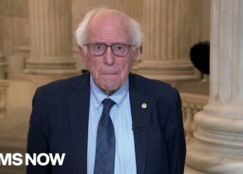 Bernie: Trump is ‘loopy’ or a ‘liar’ if he thinks it is a nice economic system