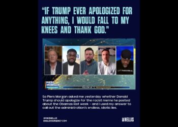 Soiled Little Liars #trump #information #politics #maga #democrats