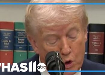 Trump revokes EPA’s capability to manage local weather air pollution