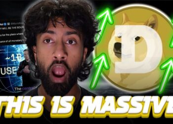 Elon Musk Simply Confirmed This for $DOGE? Dogecoin Will Have Utility…