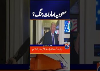 Tensions Rise Between Saudi Arabia & UAE | Trump Alerts Doable Function